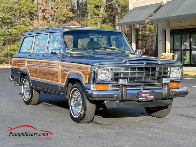 1991 Jeep Grand Wagoneer