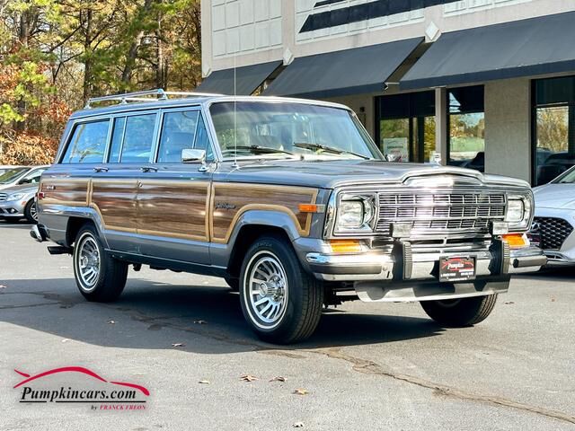 1991 Jeep Grand Wagoneer